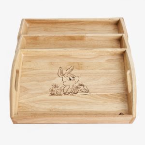 khay giáo cụ 2 (30x250x350)