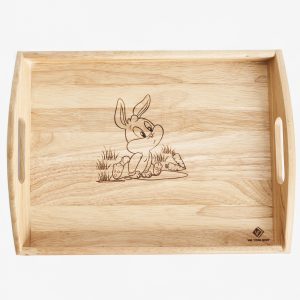 khay giáo cụ 2 (30x250x350)
