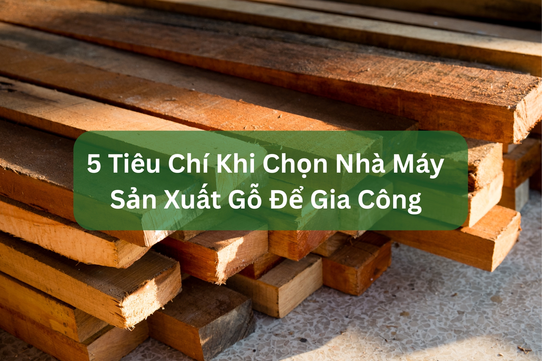 5-tieu-chi-khi-chon-nha-may-san-xuat-go-de-gia-cong